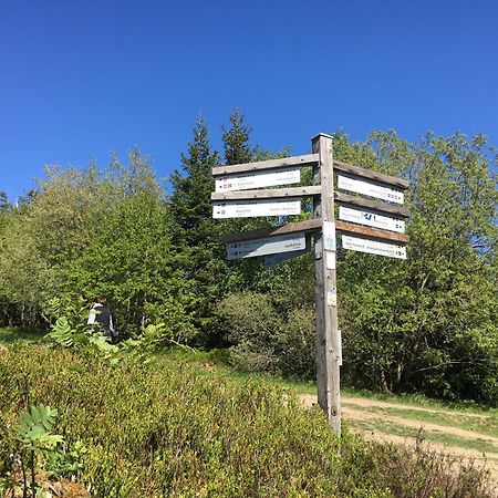 Berg- Und Seeblick Winterberg Exteriér fotografie