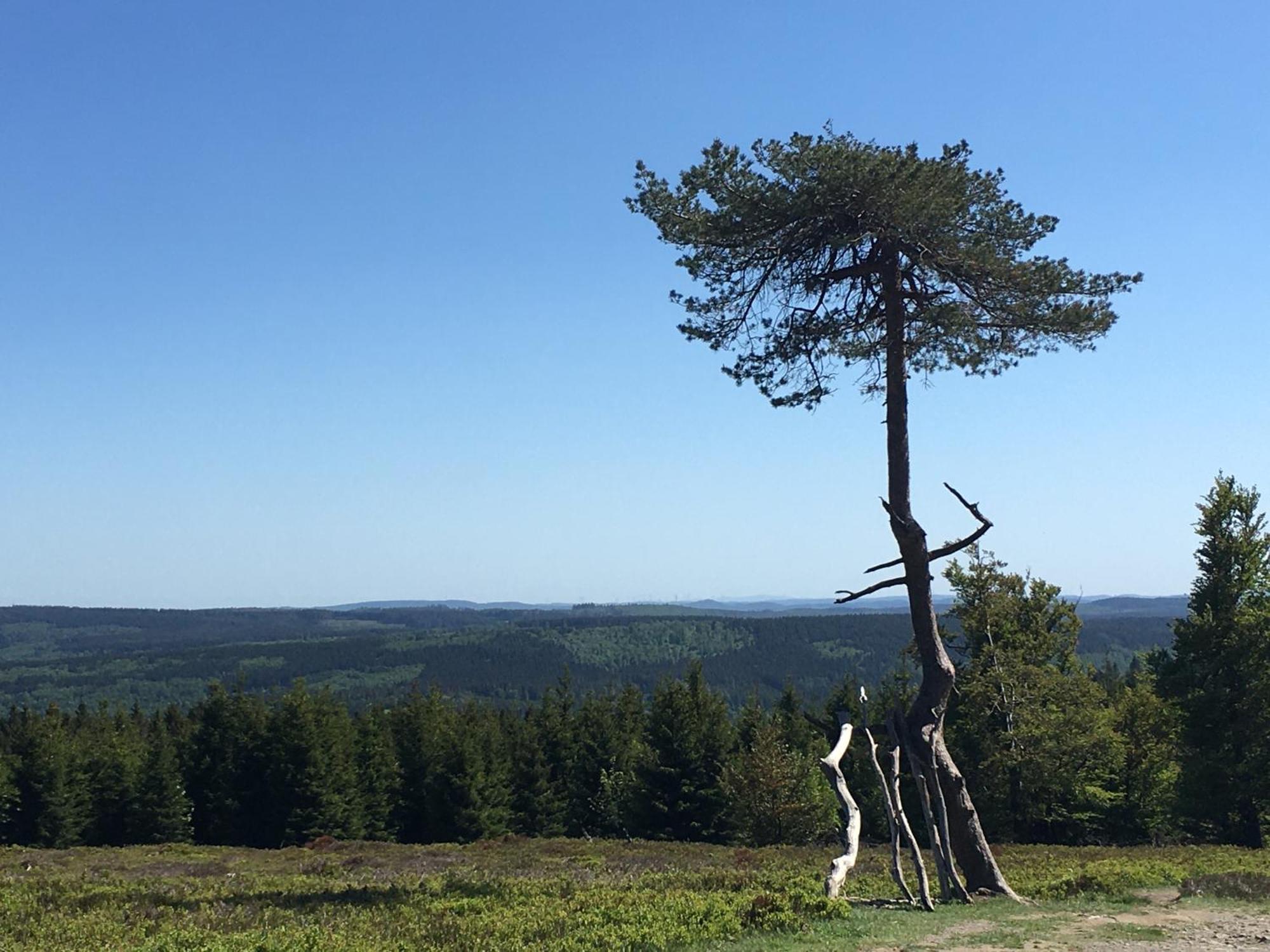 Berg- Und Seeblick Winterberg Exteriér fotografie